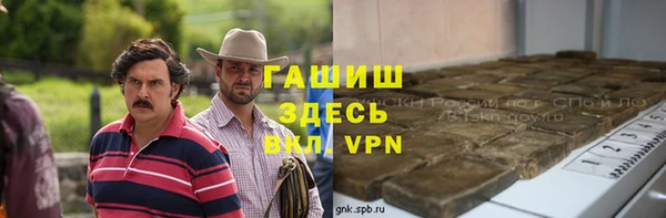 шишки Снежногорск