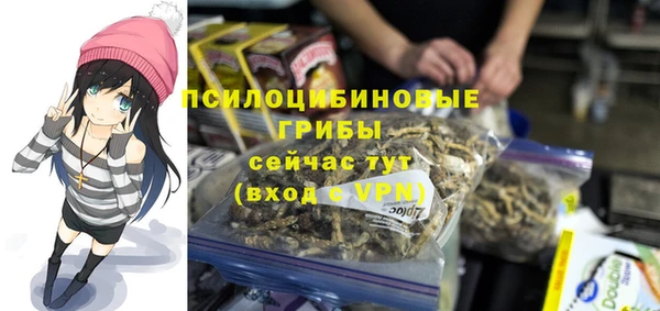 ПСИЛОЦИБИНОВЫЕ ГРИБЫ Надым